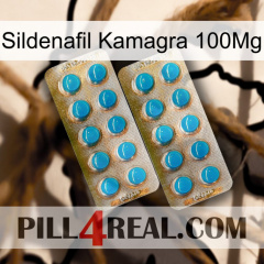 Sildenafil Kamagra 100Mg new08